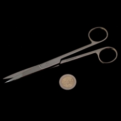 Scissors double tips | straight | stainless steel | 18cm