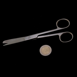 Scissors tip & blunt nose | straight | stainless steel | 15cm